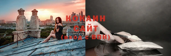 дмт Бородино