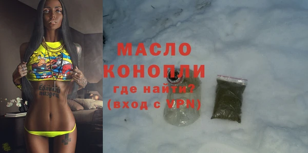 дмт Бородино