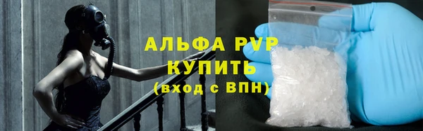 дмт Бородино