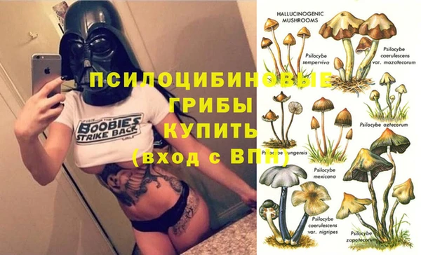 a pvp Бугульма