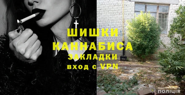 дмт Бородино