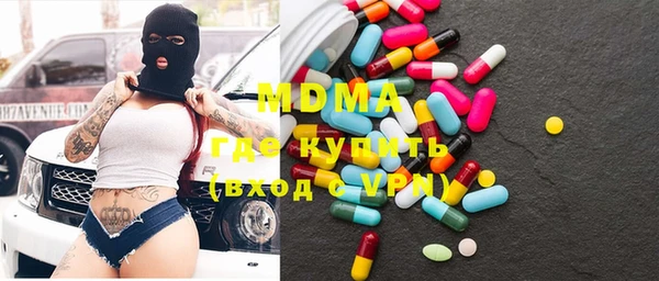дмт Бородино