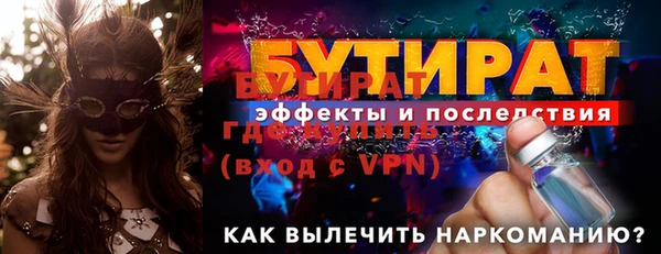 дмт Бородино