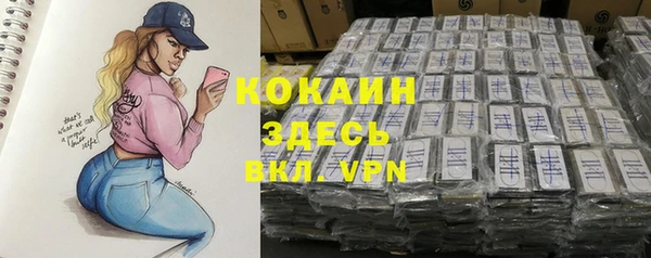 дмт Бородино