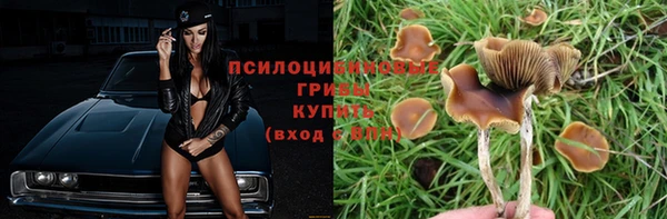 a pvp Бугульма