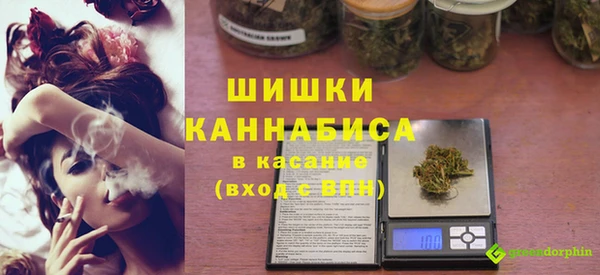 дмт Бородино