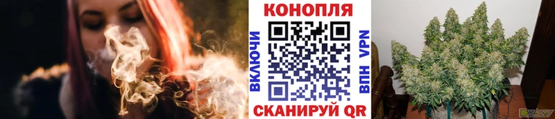 Купить закладки  Тотьма  Шишки марихуана AK-47 